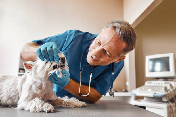 Best Emergency Dentist for Special Needs Patients in Hooverson Heights, WV